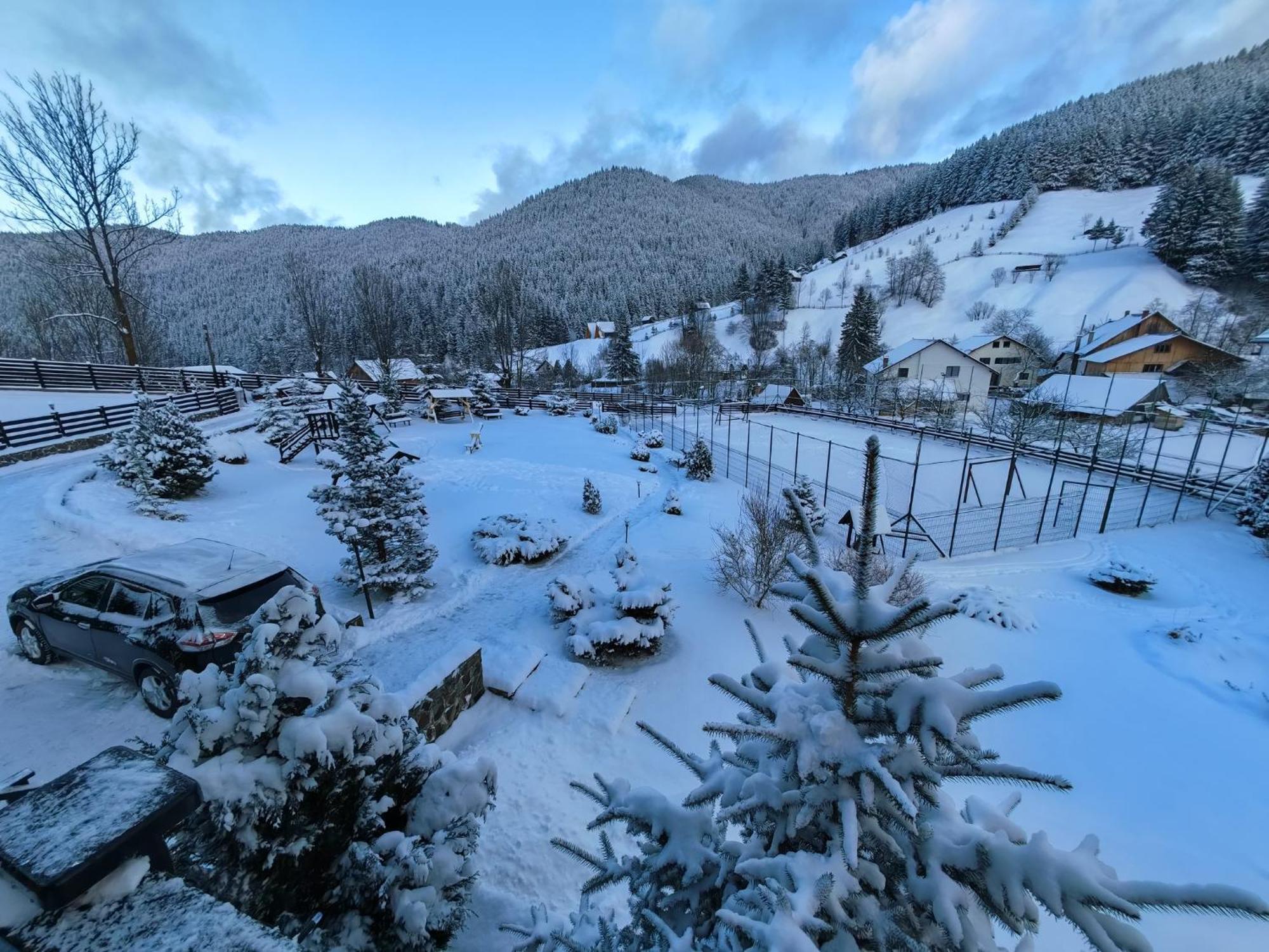 Bed and Breakfast Poiana Soarelui Моечиу-де-Сус Экстерьер фото
